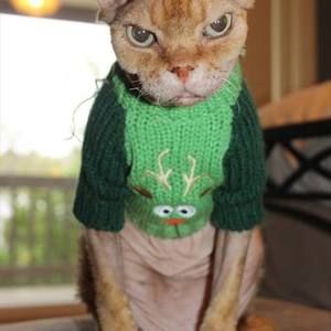 Meet your Posher, Trudey